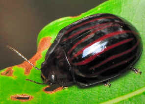 DSC_3895.jpg (188557 bytes)