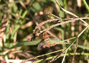 DSCN3791.jpg (265717 bytes)