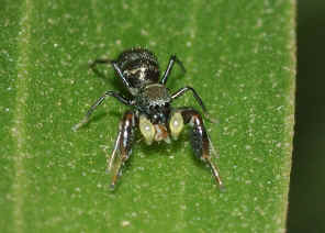 DSC_7661.jpg (87847 bytes)