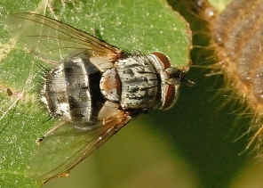 PWC_8642.jpg (574607 bytes)
